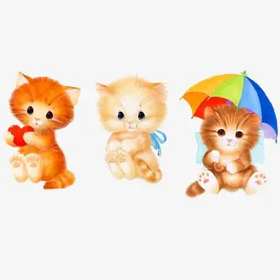 [流言板]米兰与伊劳拉谈妥合同，后者想了解转会计划&米兰预算3000万
