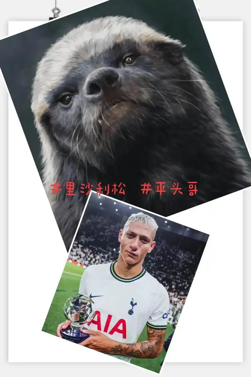 心系老东家，格拉利什发文祝贺维拉夺得欧联杯冠军
